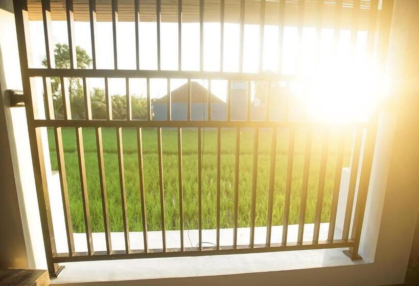 פנסיון The Backyard House