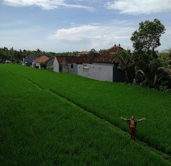 פנסיון The Backyard House