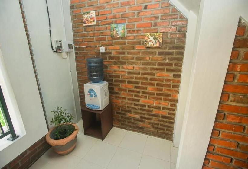 פנסיון The Backyard House