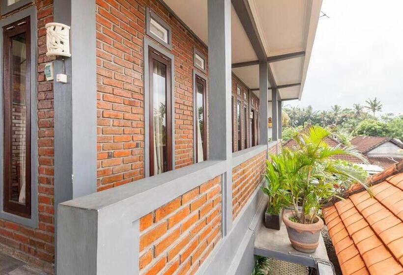 פנסיון The Backyard House