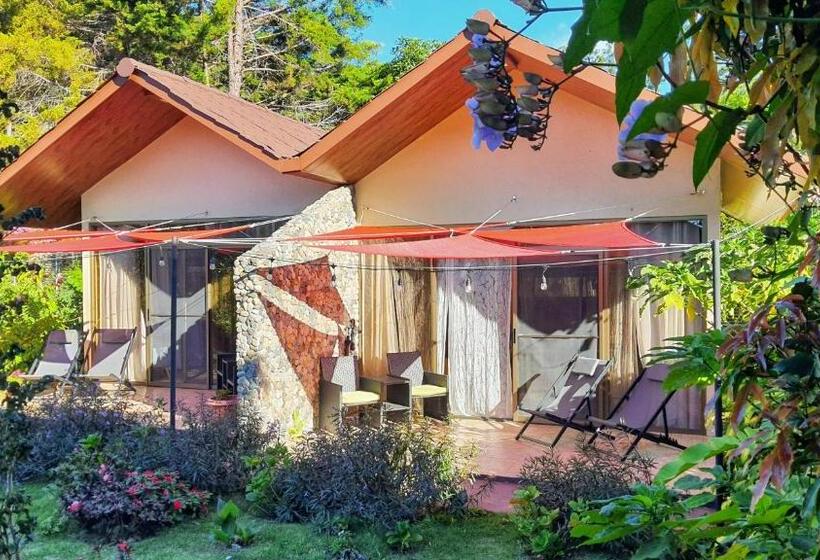 膳宿费 Villa Alejandro