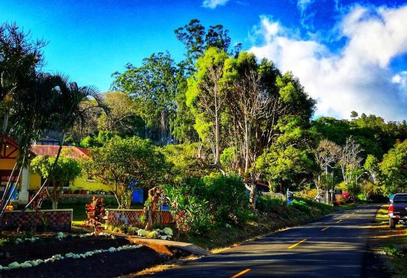 膳宿费 Villa Alejandro