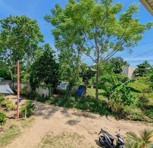 هاستل Charlina Inn Panglao