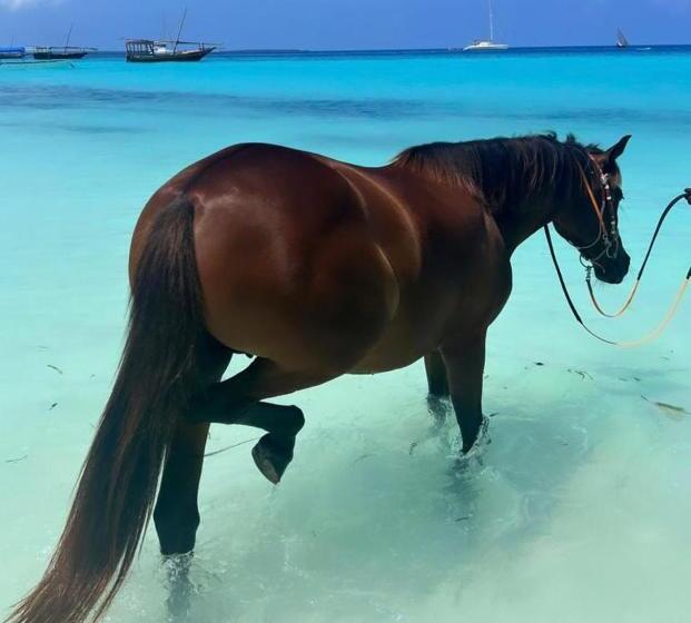 הוסטל Your Zanzibar Place