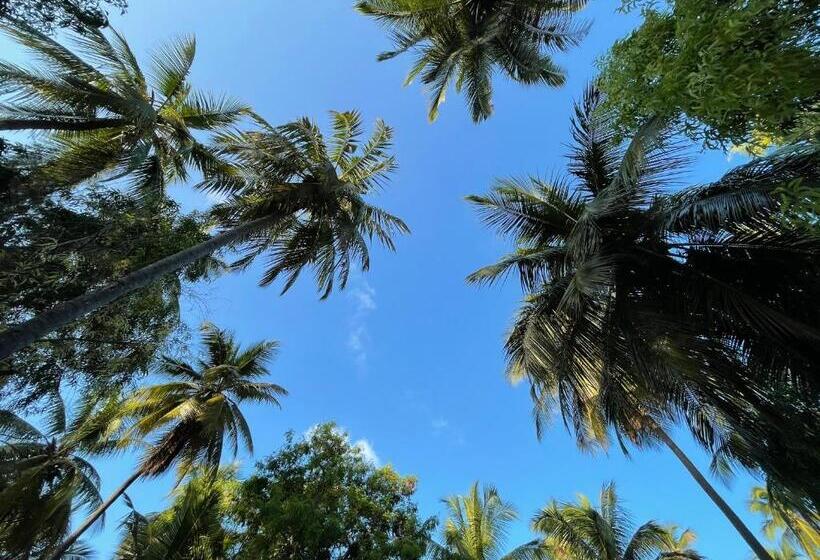 فندق صغير Your Zanzibar Place