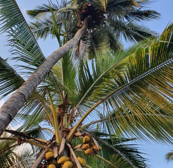 הוסטל Your Zanzibar Place