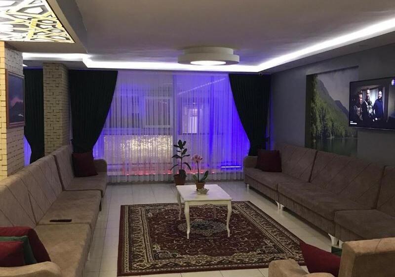 تختخواب و صبحانه Comfort Hotel Van