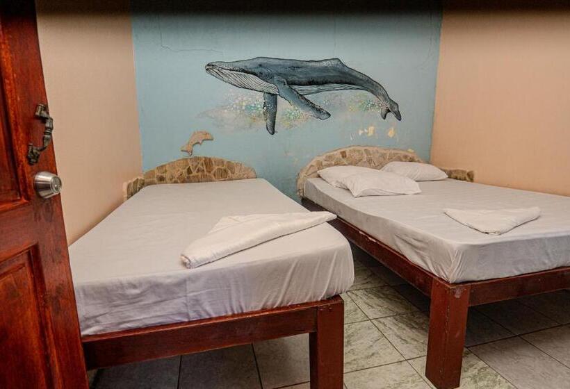 Costa Linda Art Hostel