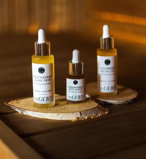 בית מלון כפרי Arctic Bath