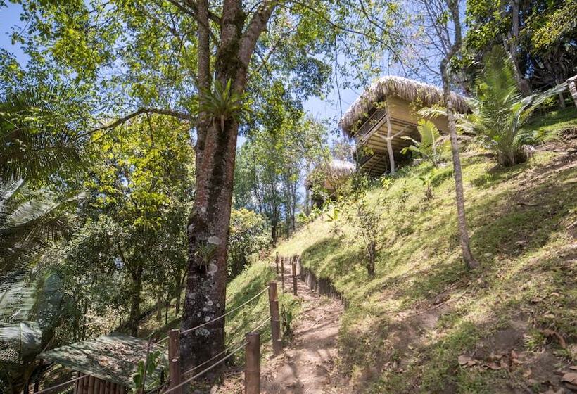 Отель Kawa Mountain Retreat