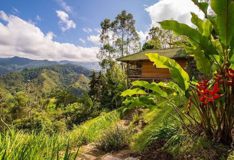 Отель Kawa Mountain Retreat