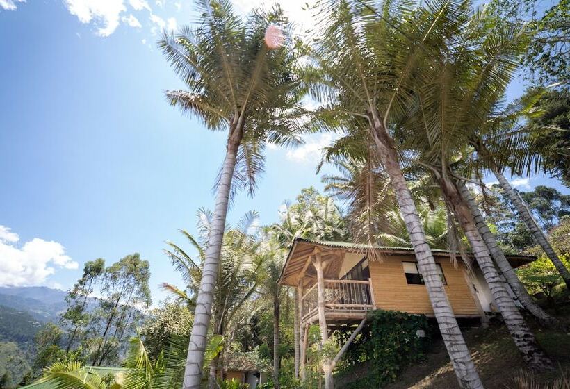 Отель Kawa Mountain Retreat