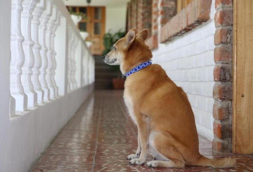 Отель La Posada Del Quinde