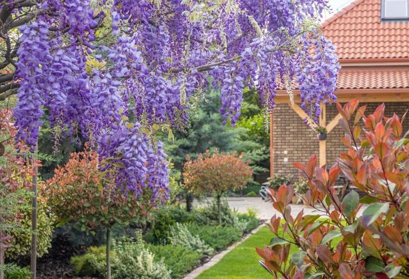 پانسیون Casa Perla