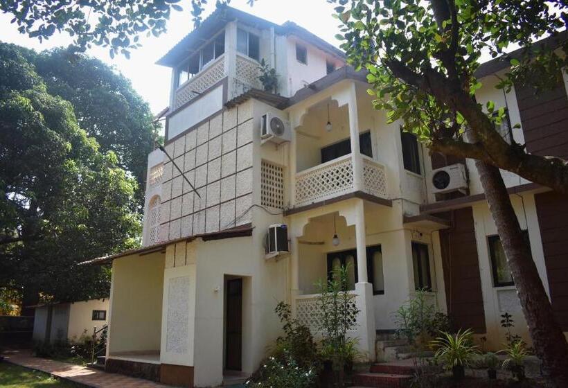 بنسيون La Petite Guest House