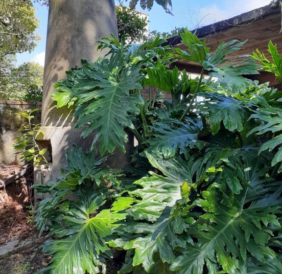 بنسيون Mini House Park