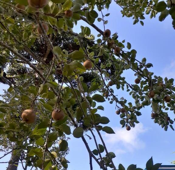 بنسيون Mini House Park