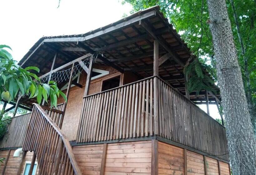 بنسيون Mini House Park