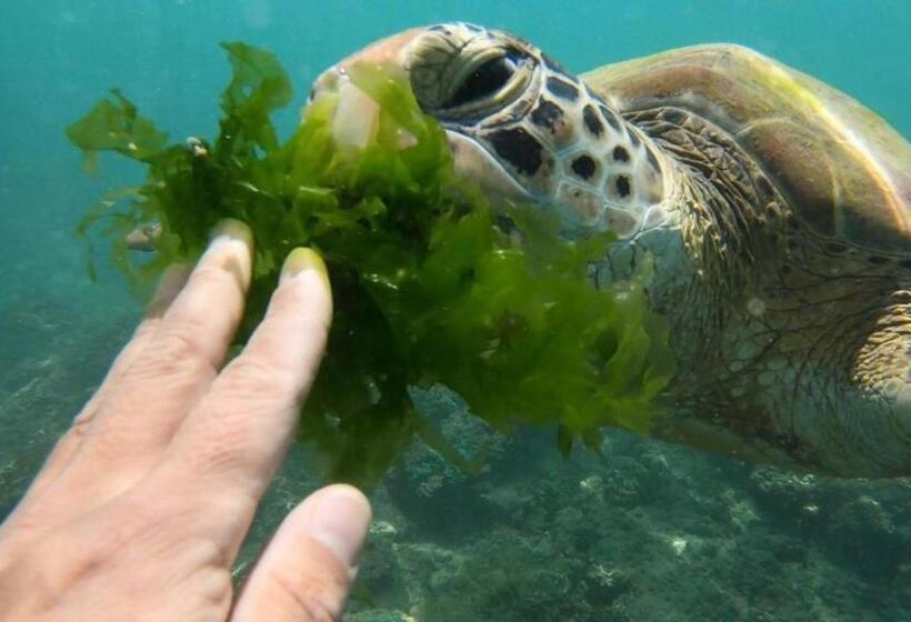 Pension Sweet Emotion