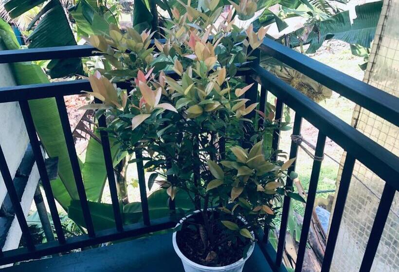 Пансион Villa Jasmine Hikkaduwa