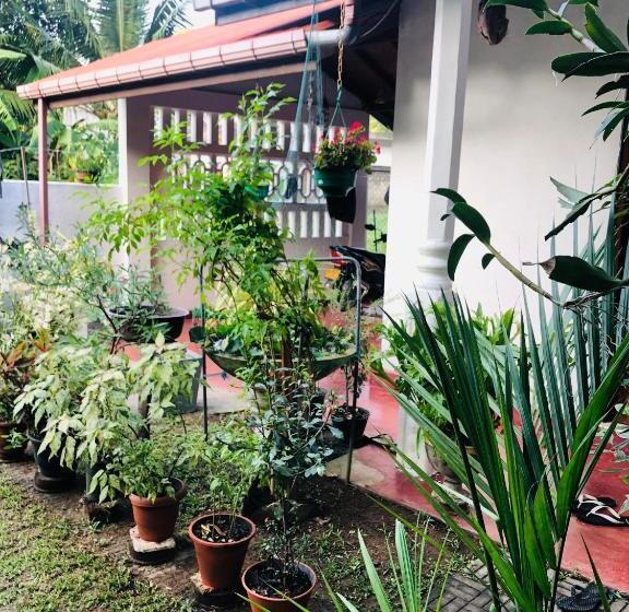 Пансион Villa Jasmine Hikkaduwa