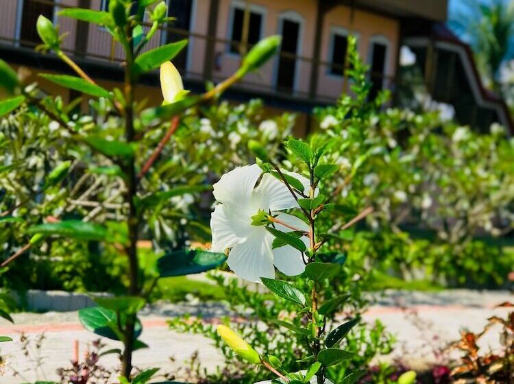 استراحتگاه La Plumerias