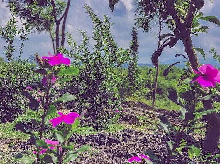 استراحتگاه La Plumerias