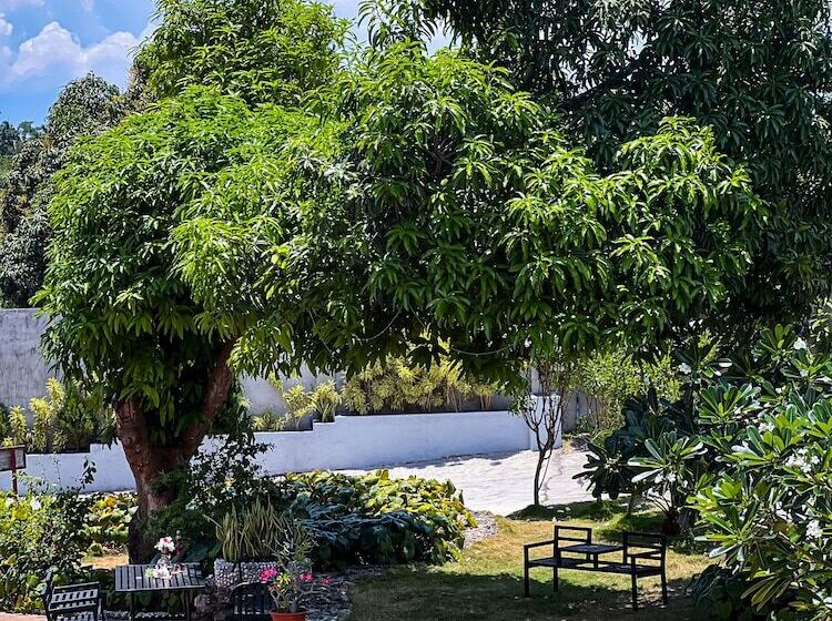 استراحتگاه La Plumerias