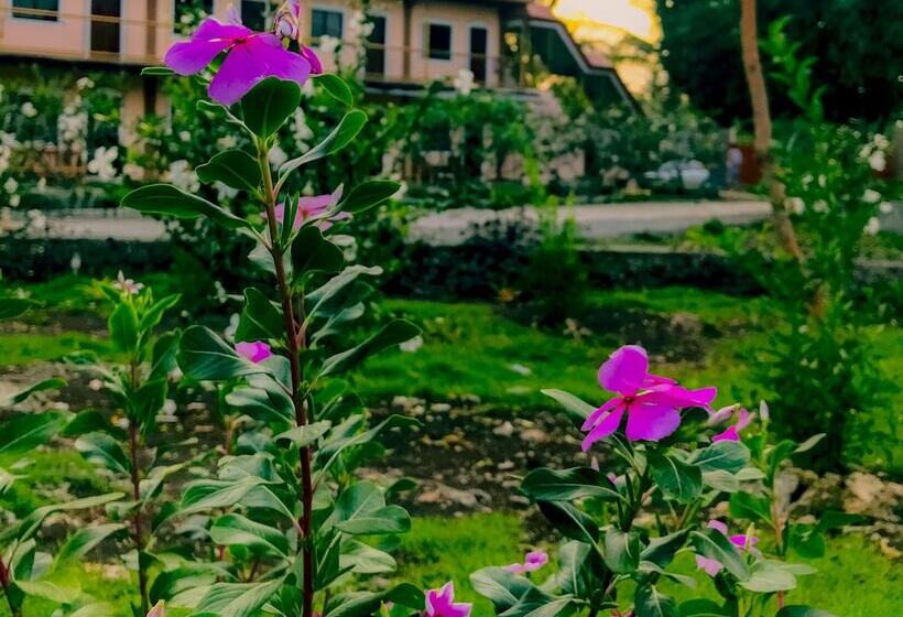 استراحتگاه La Plumerias