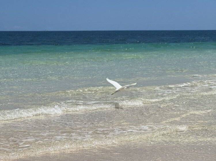 هتل Libelula Tulum Beachfront