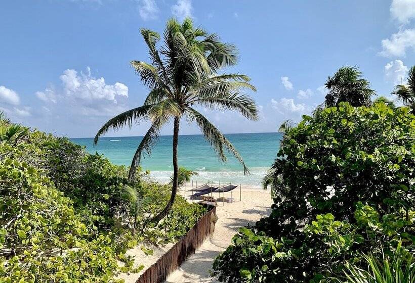 هتل Libelula Tulum Beachfront