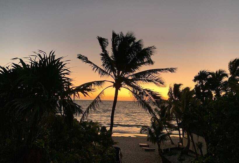 هتل Libelula Tulum Beachfront