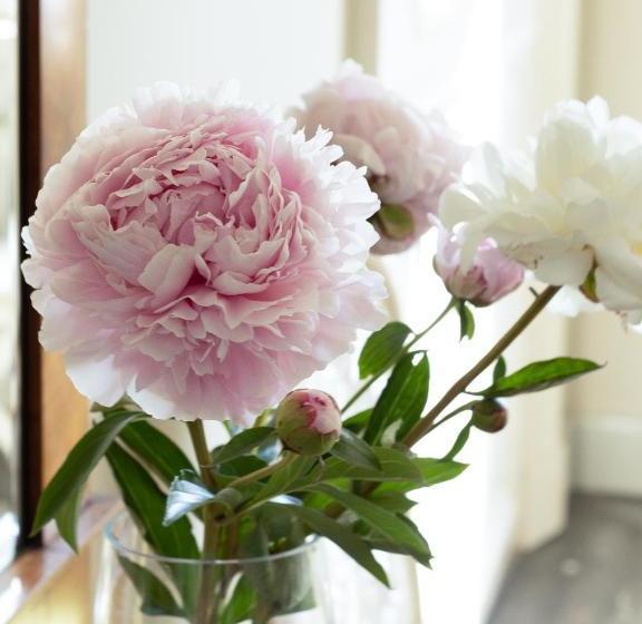 בית מלון כפרי Vuojoen Kartano