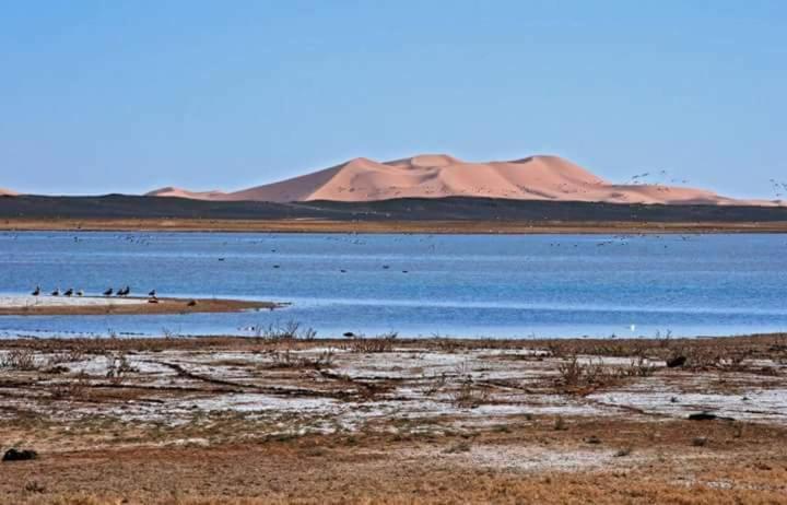 膳宿费 Maison Bedouin Merzouga