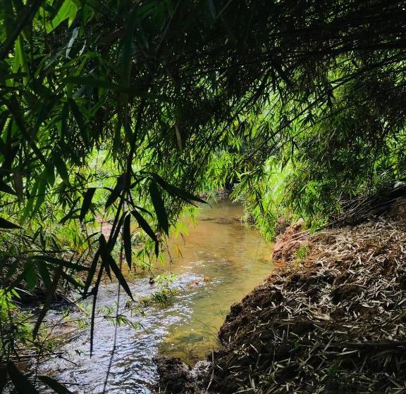 Пансион Mangosteen Holidays