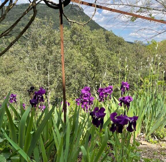 צימר Mas Suéjol