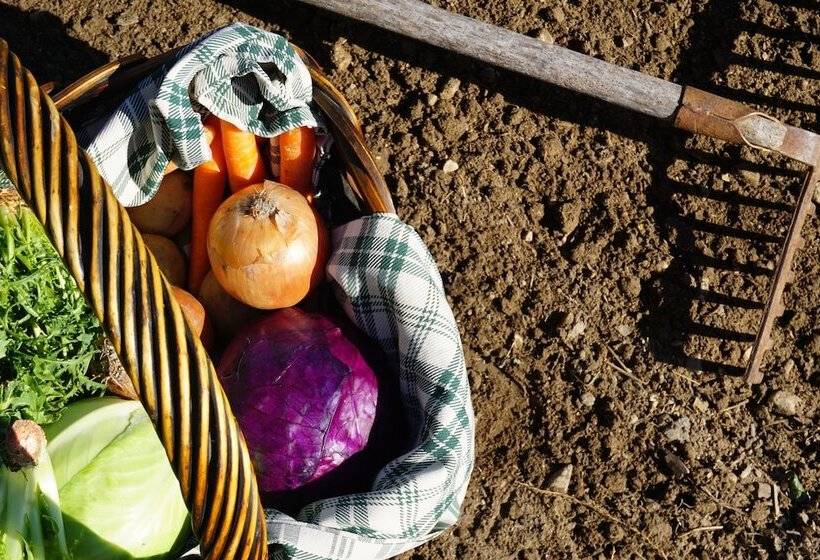 فندق Agritur Maso Carpené