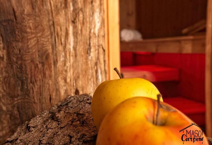 בית מלון כפרי Agritur Maso Carpené