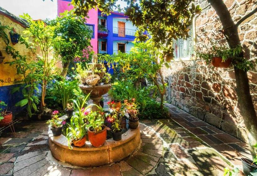 בית מלון כפרי El Mineral