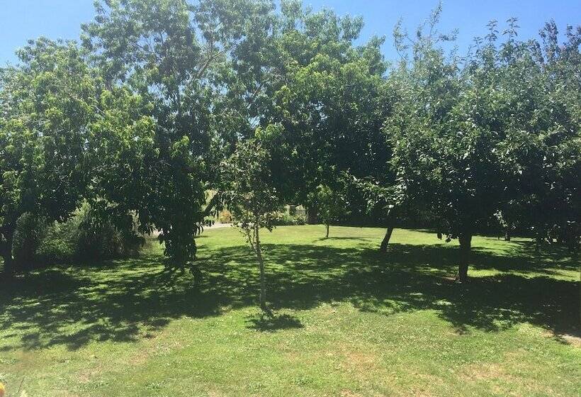 בית מלון כפרי Lake Karapiro Lodge