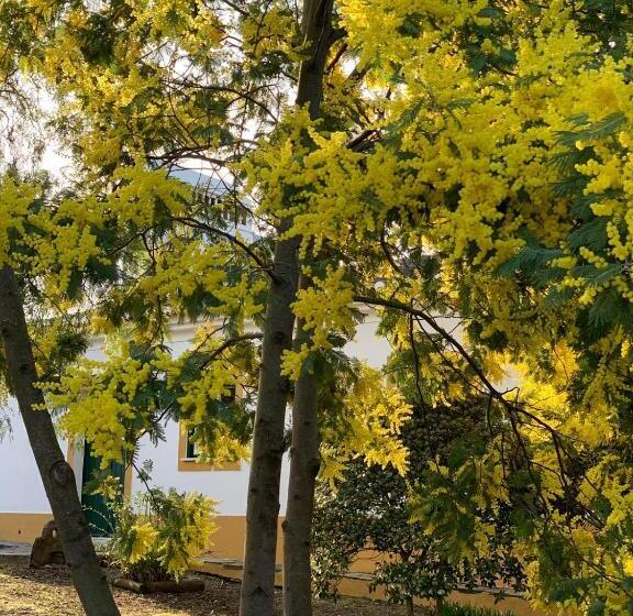 ホテル Monte Papa Toucinho