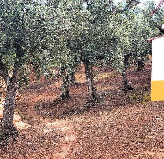 ホテル Monte Papa Toucinho