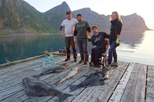 Northern Light Hotell/camp Steinfjord