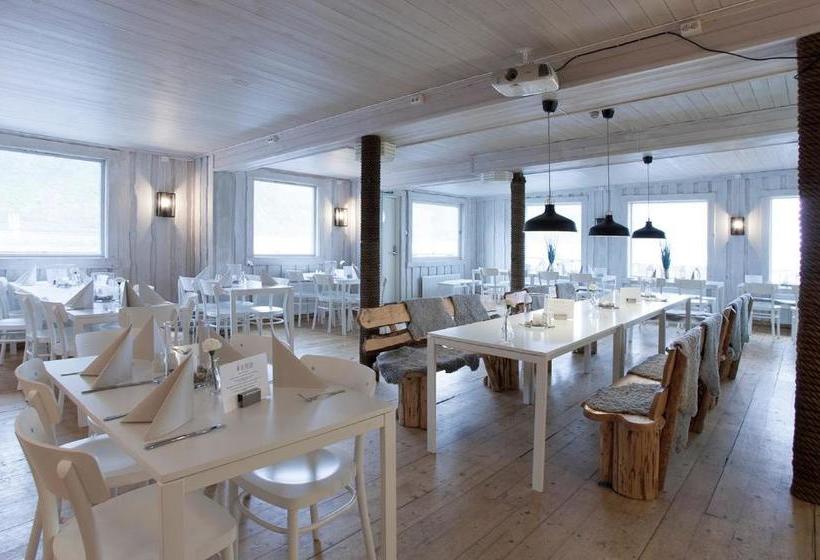 Northern Light Hotell/camp Steinfjord