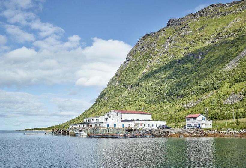 Northern Light Hotell/camp Steinfjord