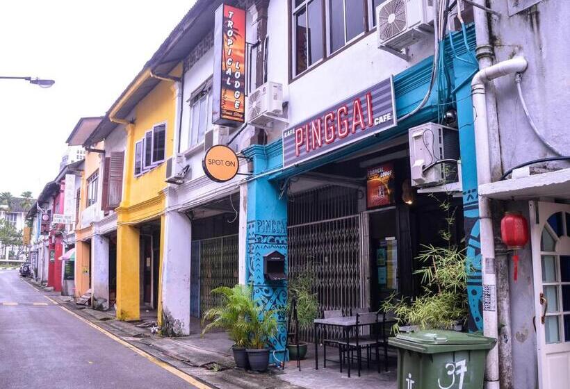 Отель Spot On 89929 Tropical Lodge