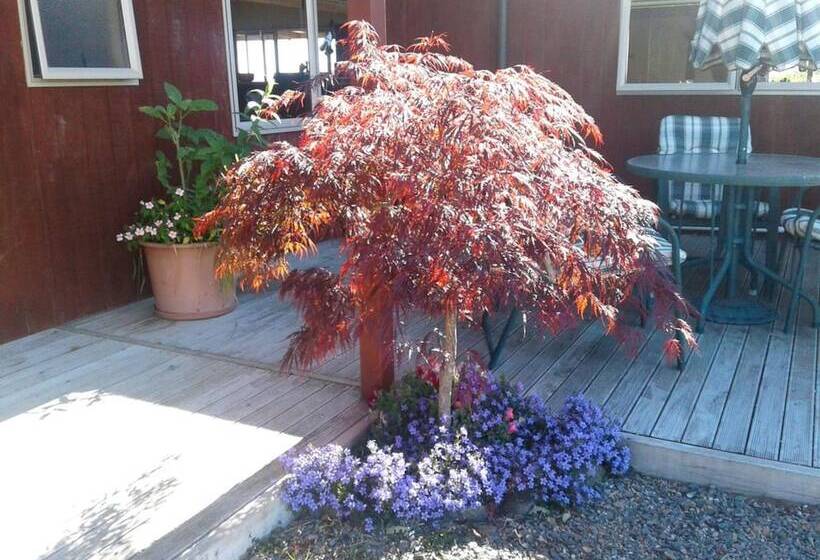 Kauri Lodge Karapiro