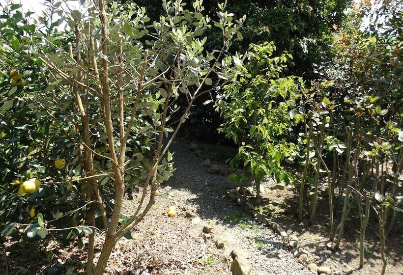 Kauri Lodge Karapiro