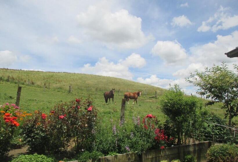 Kauri Lodge Karapiro
