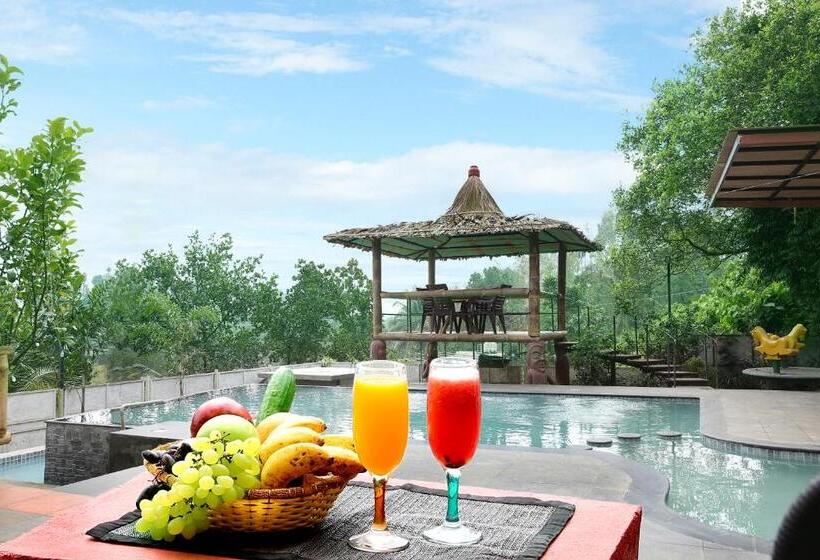 Olives The Boutique Resort